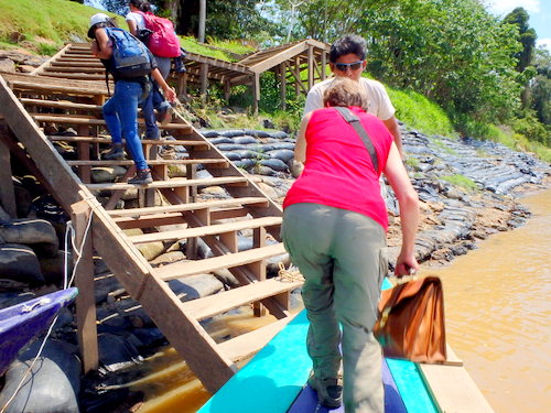 Corto Maltes, Amazonia.